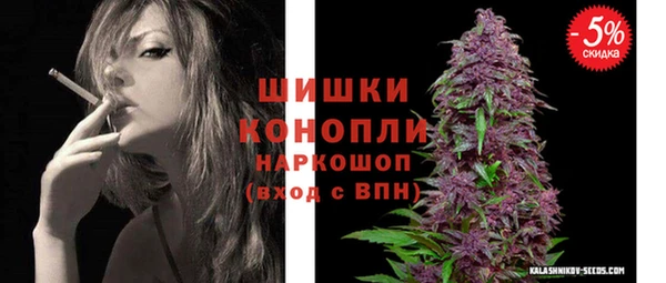 spice Арсеньев