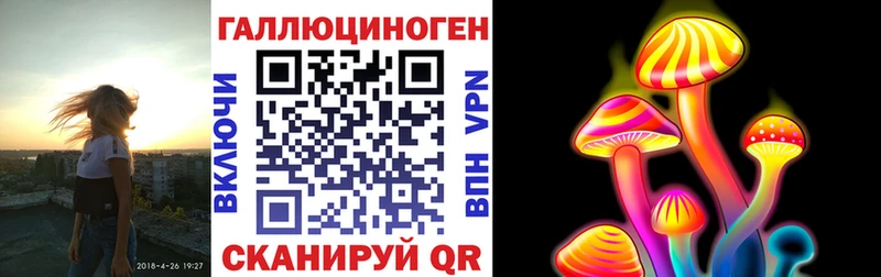 Галлюциногенные грибы Psilocybine cubensis  Гатчина 